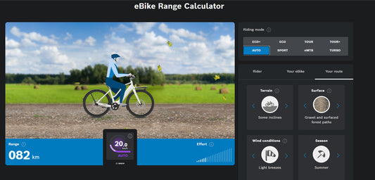 E Bike Battery Size: What is right for you?