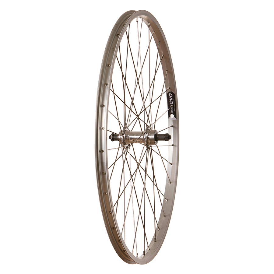 FM-31-QR, Wheel, Rear, 26'' / 559, Holes: 36, QR, 135mm, Rim, Freewheel