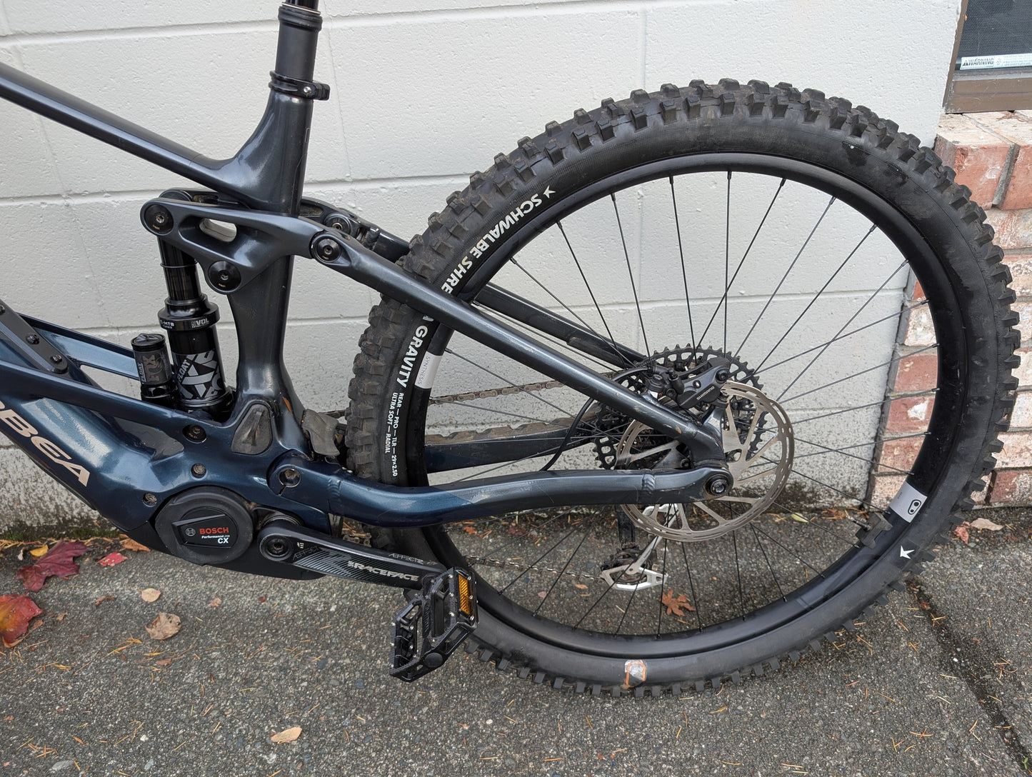 Used Orbea Wild H10 Large Basalt/Blue 2023