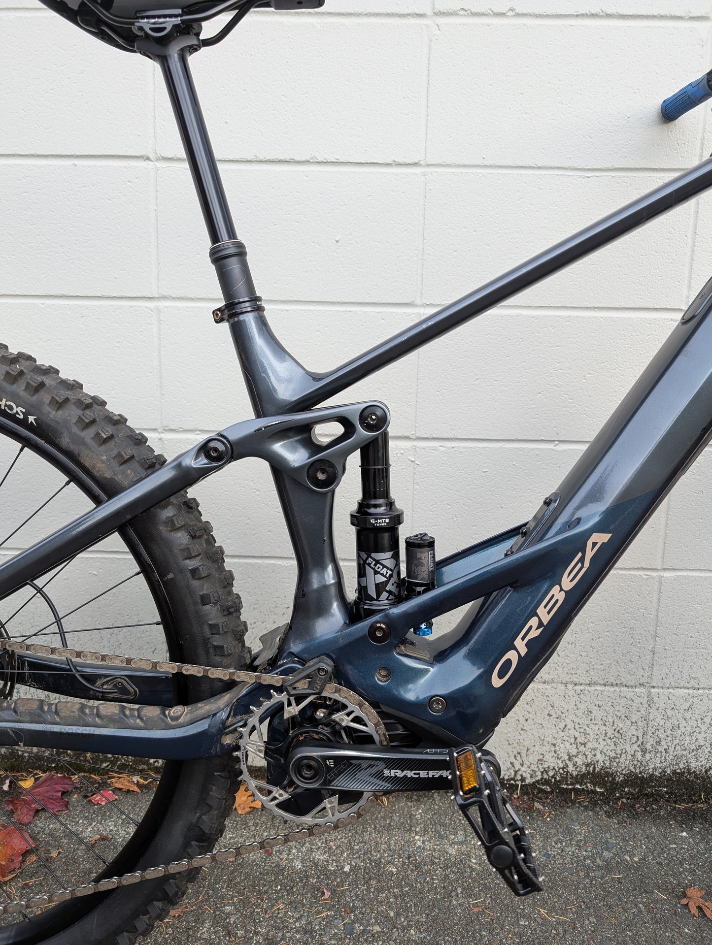 Used Orbea Wild H10 Large Basalt/Blue 2023