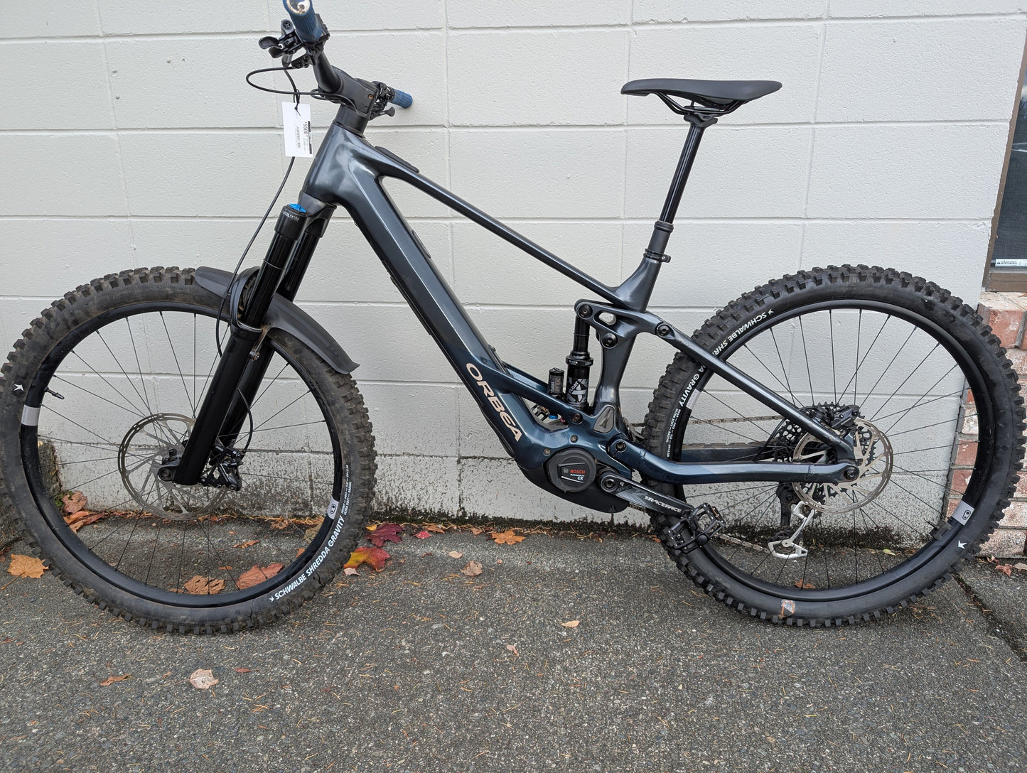 Used Orbea Wild H10 Large Basalt/Blue 2023