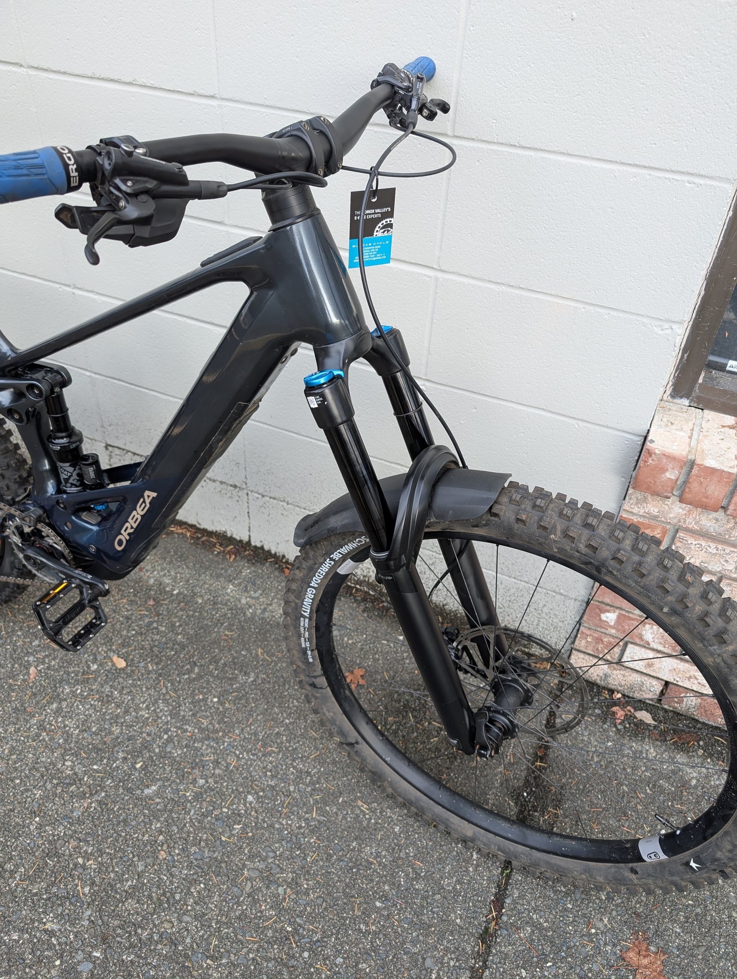 Used Orbea Wild H10 Large Basalt/Blue 2023