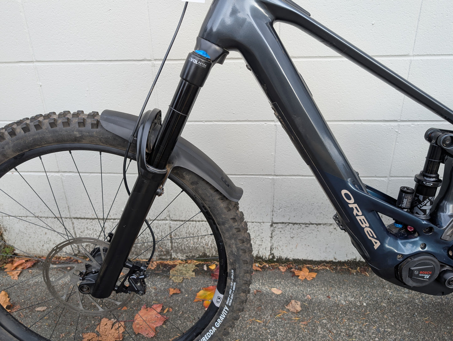 Used Orbea Wild H10 Large Basalt/Blue 2023