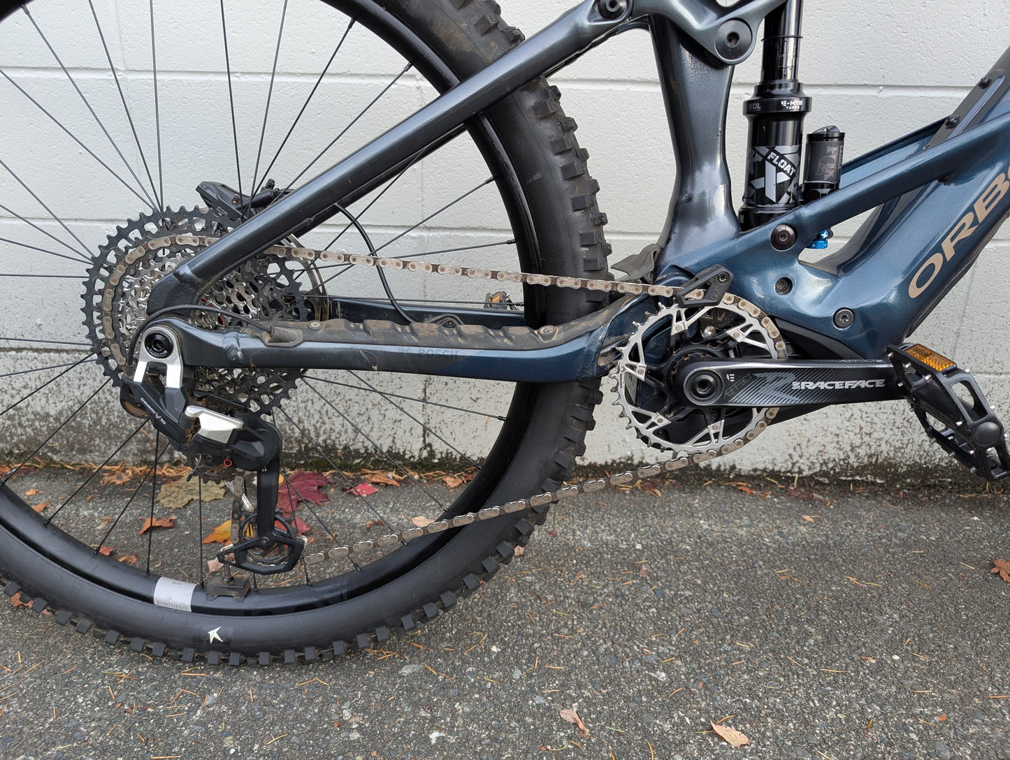Used Orbea Wild H10 Large Basalt/Blue 2023